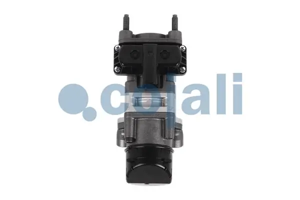 354019 Cojali
