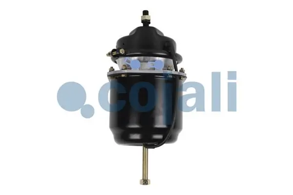 2251515 Cojali