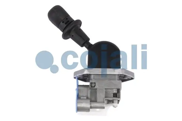 2224571 Cojali