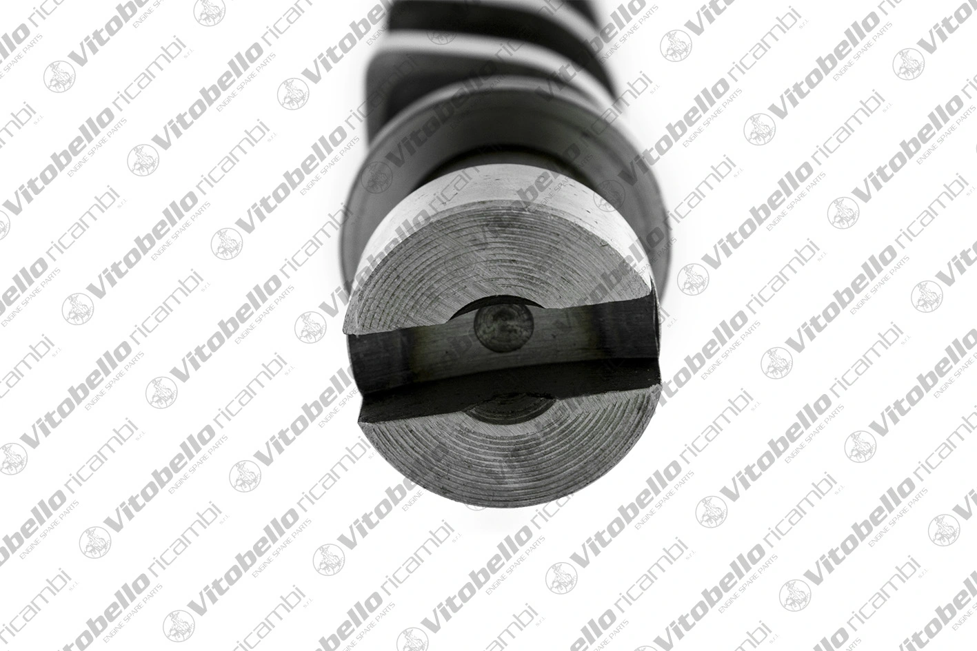 Comprar Árbol de levas de entrada Nissan Murano  Z51