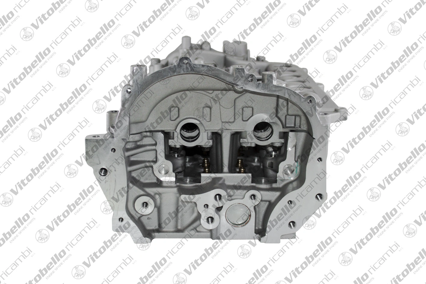 1001615N Vitobello Ricambi Cabeza del motor