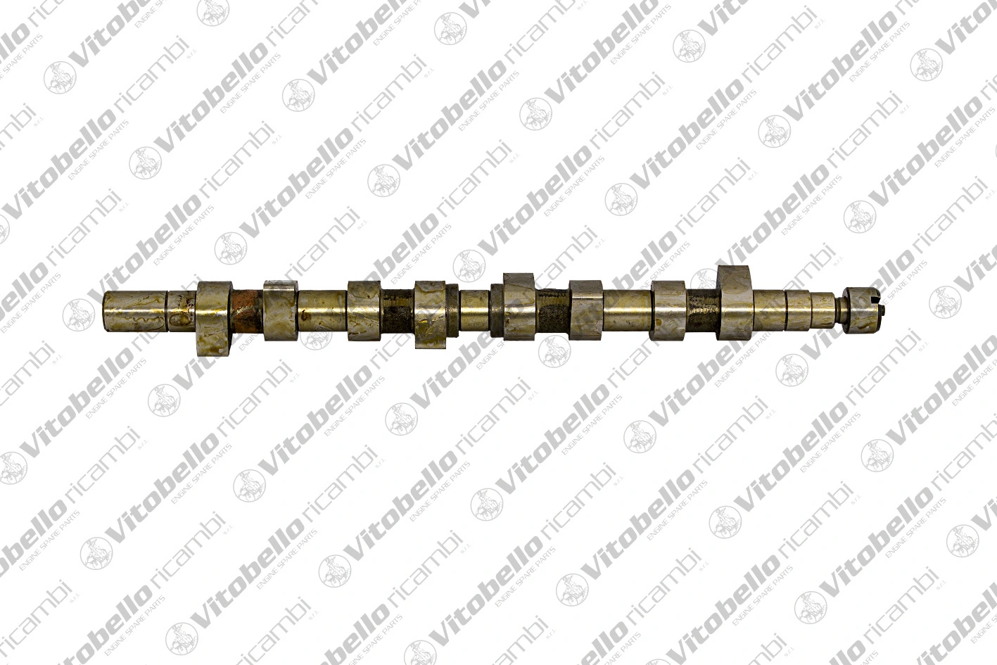 Comprar Árbol de levas Renault 19 I B53, C53 a bajo precio