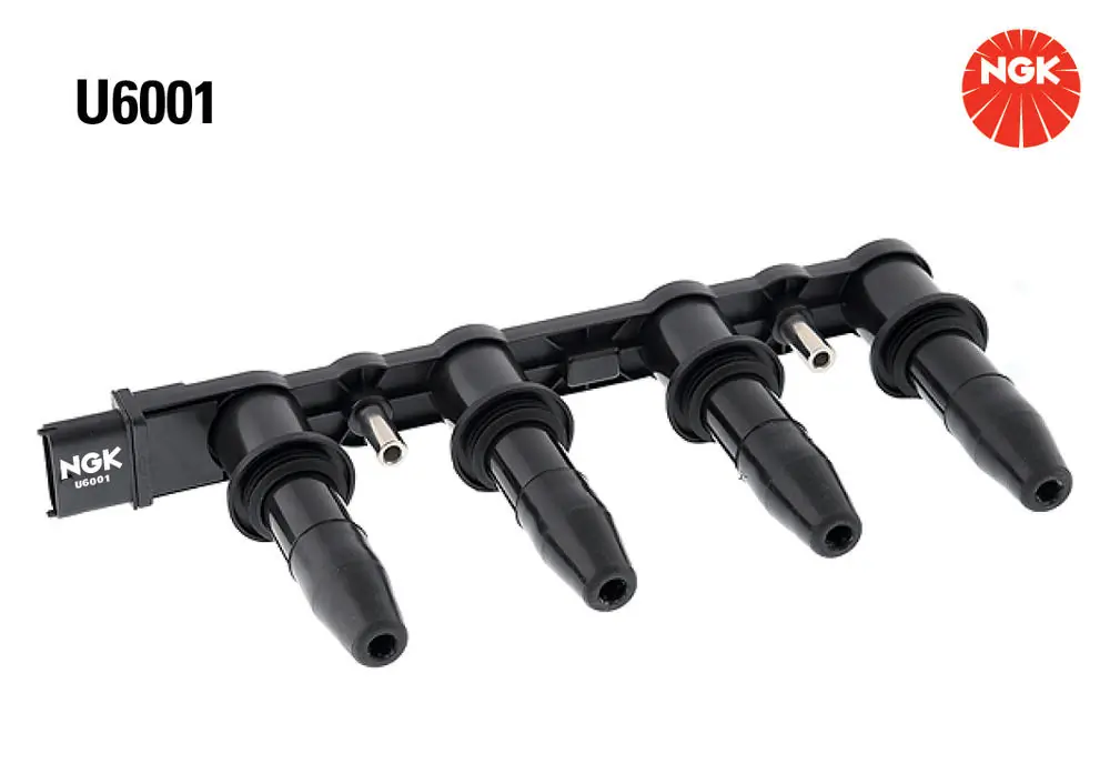 U6001 NGK