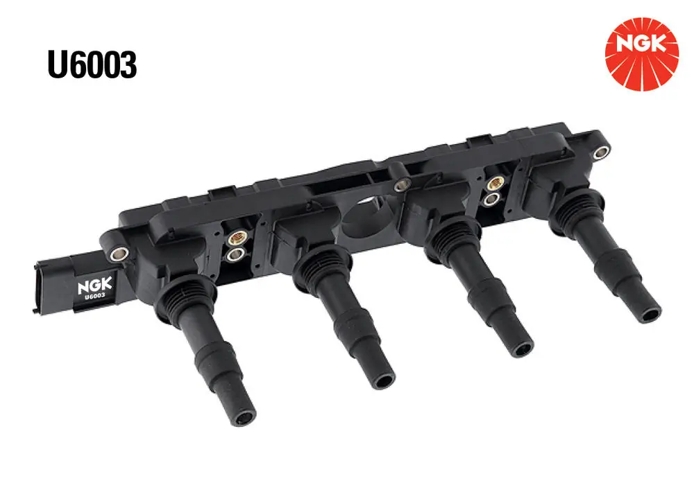 U6003 NGK