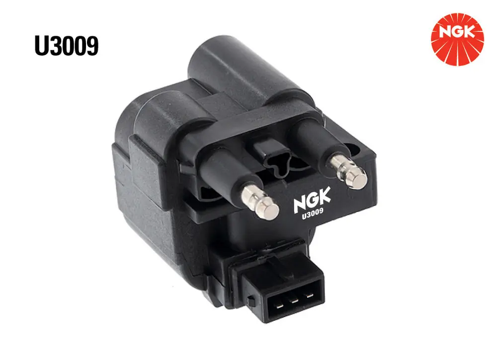 U3009 NGK