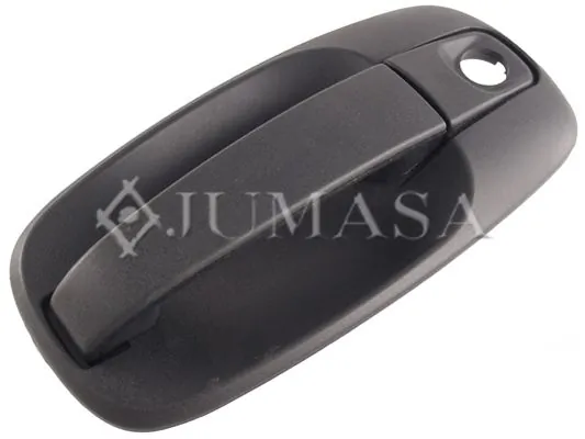 Manecilla de puerta exterior delantero Nissan/Infiniti 8060700Q1B precio, desde 21,18 EUR