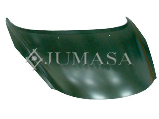 Capó del motor Peugeot 207 hatchback (WA, WC) (2006 - 2015) precio, desde 101,64 EUR