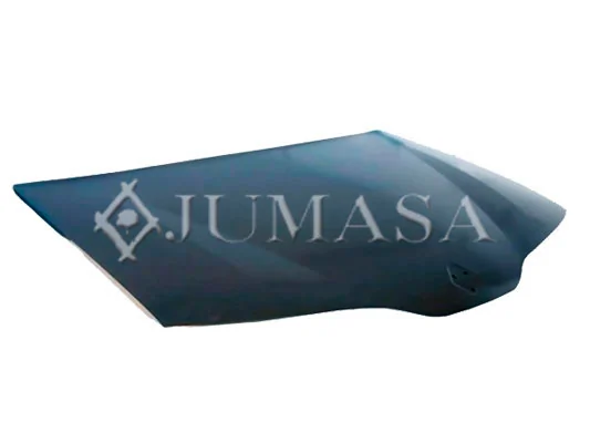 Comprar Capó Renault Laguna II BG0, BG1