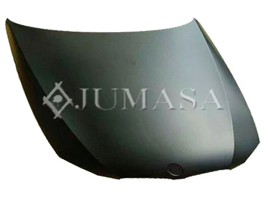 Capó del motor BMW 3 E92