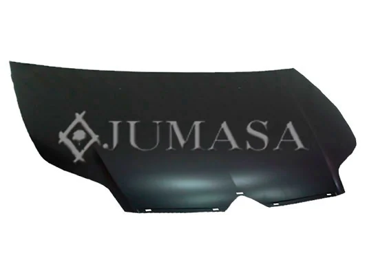 Comprar Capó Citroen C4 I 