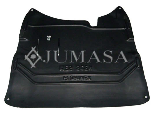  Protección motor / empotramiento Renault Scenic 1