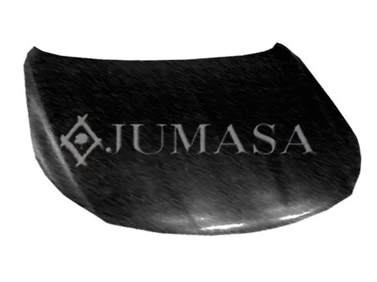 Comprar Capó Volkswagen Passat CC B6 357
