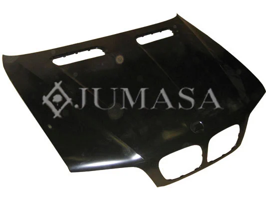 Capó del motor BMW X5 SUV (E53) (2000 - 2006) precio, desde 319,44 EUR