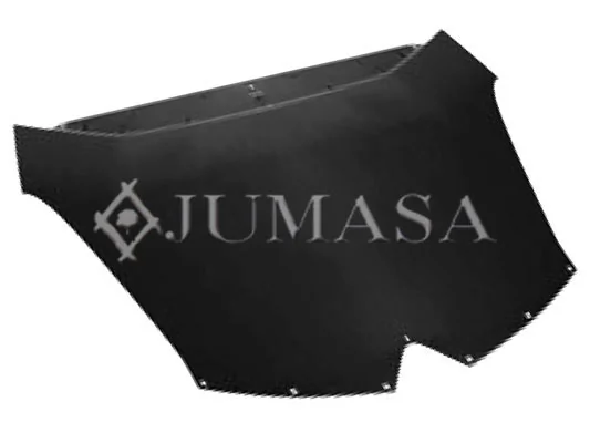 Capot Citroen C4 PICASSO I