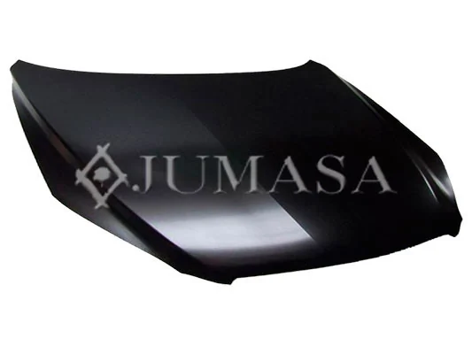 Capó del motor Toyota RAV4 III SUV (A3) (2005 - 2012) precio, desde 311,11 EUR