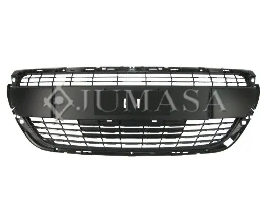 1613485580 Peugeot/Citroen Calandra