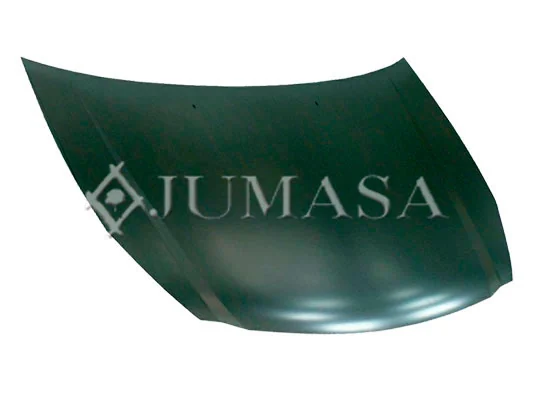 Capó del motor KIA Carnival III monovolumen (VQ) (2005 - 2015) precio, desde 169,88 EUR