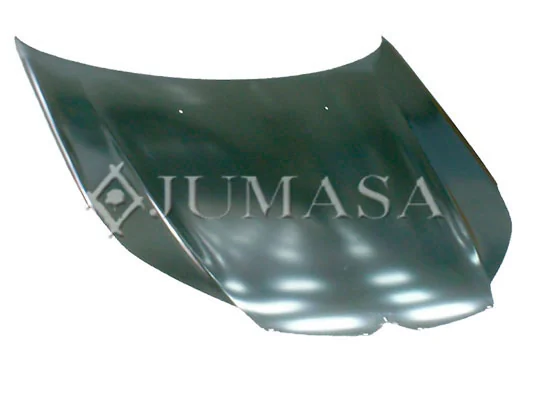 Comprar Capó Citroen C5  III  RW