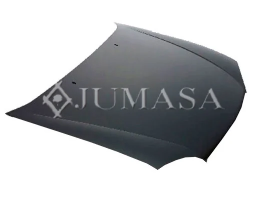 Capó del motor Ford Fiesta Mk4 hatchback (JAS, JBS) (1996 - 2002) precio, desde 178,60 EUR