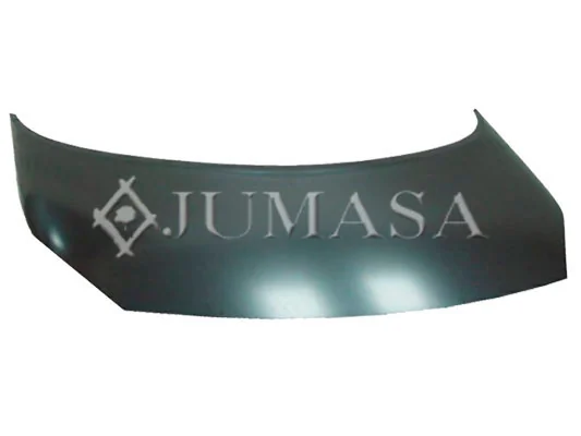 Comprar Capó Renault Scenic II JM0, JM1