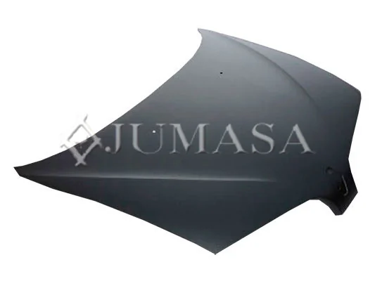 Capó del motor Renault Megane SCENIC monovolumen (JA0, JA1) (1996 - 2001) precio, desde 179,65 EUR