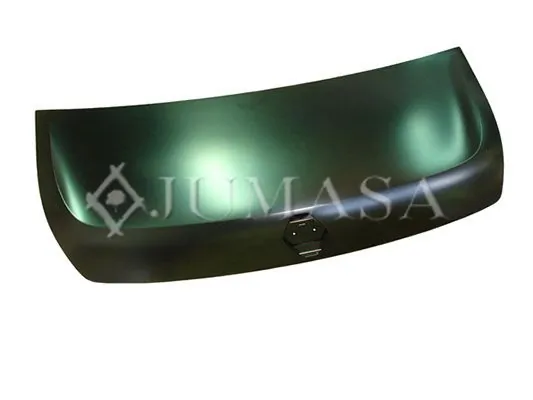 Capó del motor Renault Master III bus (JV) (2011 - 2024) precio, desde 363,48 EUR
