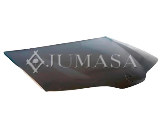 Capó del motor Renault Laguna II hatchback (BG0, BG1) (2001 - 2007) precio, desde 119,06 EUR