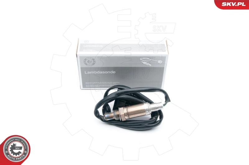 09SKV599 SKV