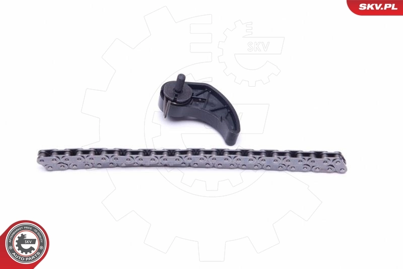  Cadena de la Bomba Aceite Volkswagen Golf 4