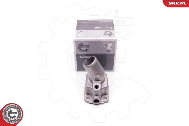 Comprar Termostato Iveco Daily IV 