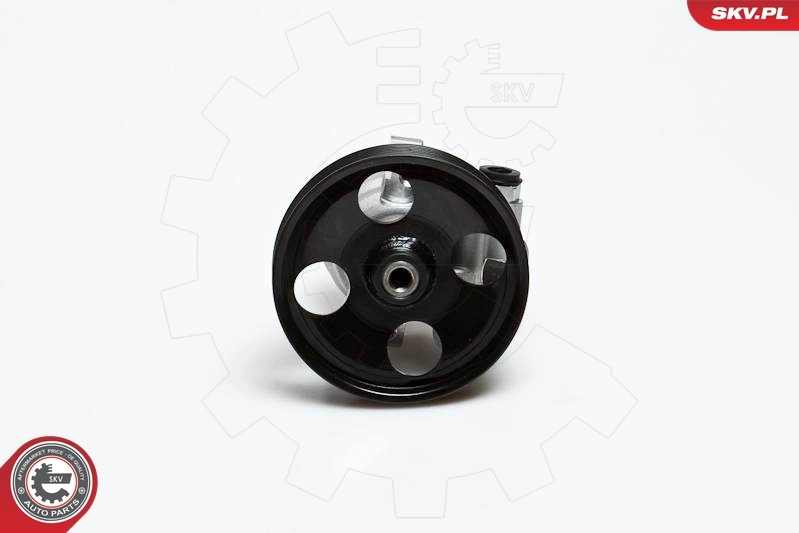 10SKV168 SKV