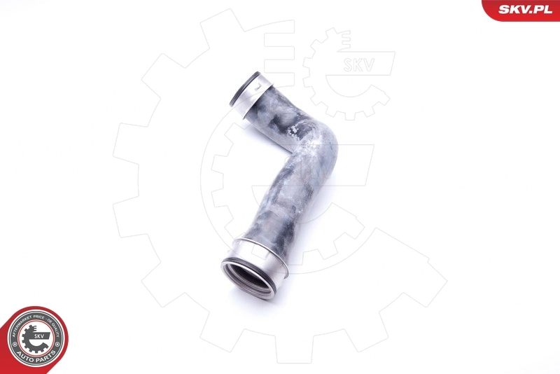 24SKV619 SKV