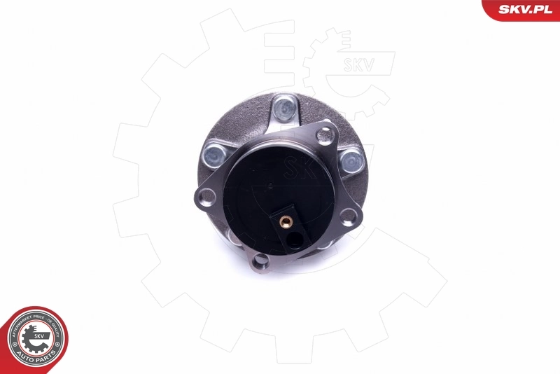 Buje de rueda SKV 29SKV379 precio, desde 68,24 EUR