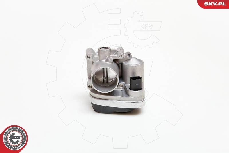 Cuerpo de aceleración completo SKV 12SKV030 precio, desde 119,22 EUR