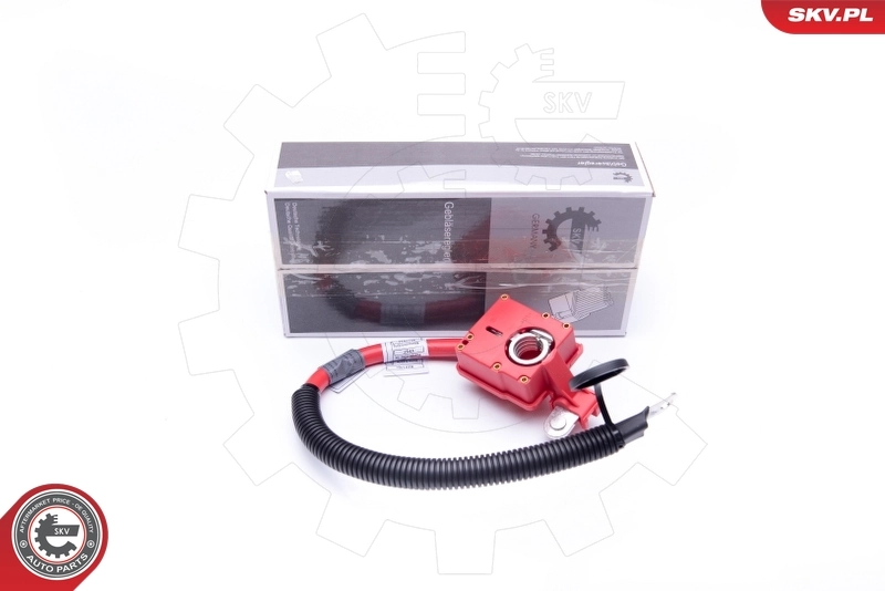 Comprar 42915003 AND Cable de terminal positivo de batería