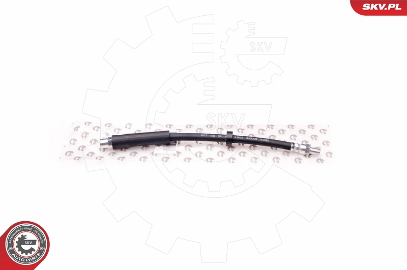 35SKV053 SKV