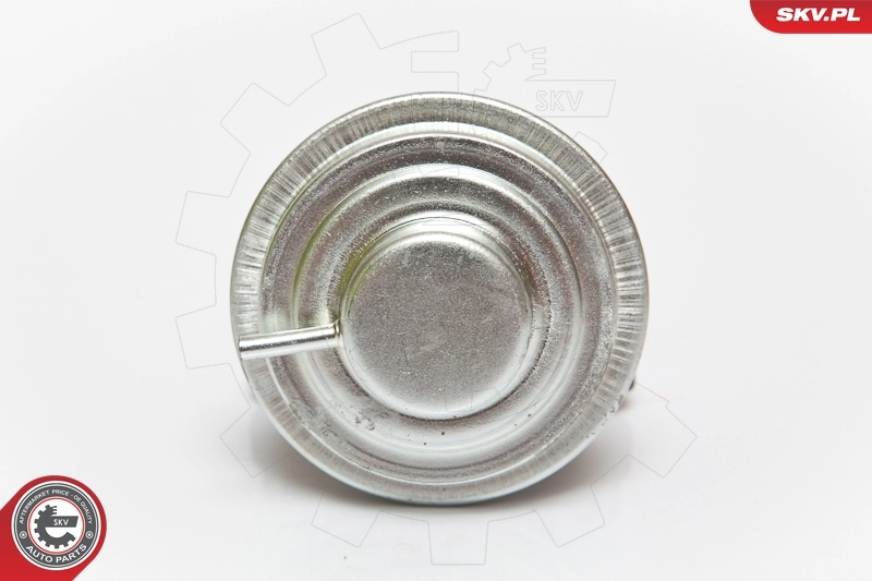 Comprar EV107 Magneti Marelli Válvula EGR