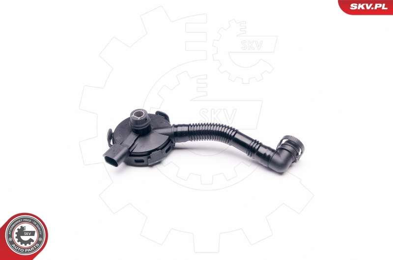 31SKV020 SKV