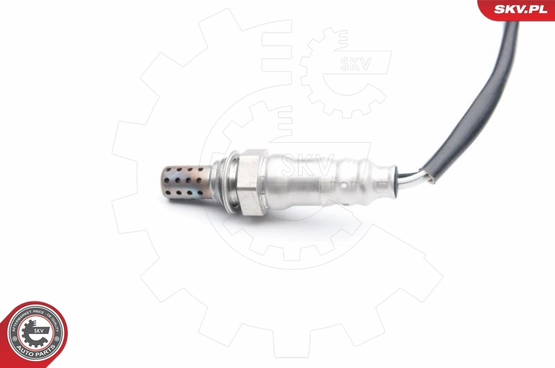 09SKV717 SKV