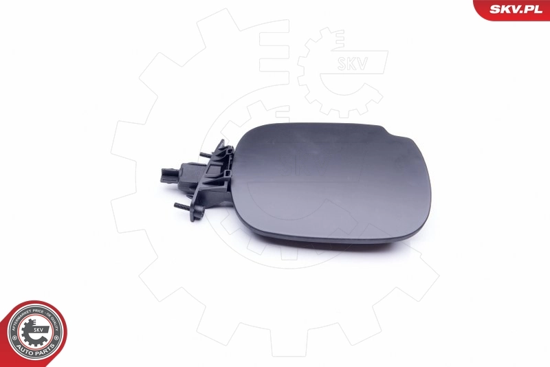 Tapa del depósito de gasolina FPS 5605520 precio, desde 19,93 EUR