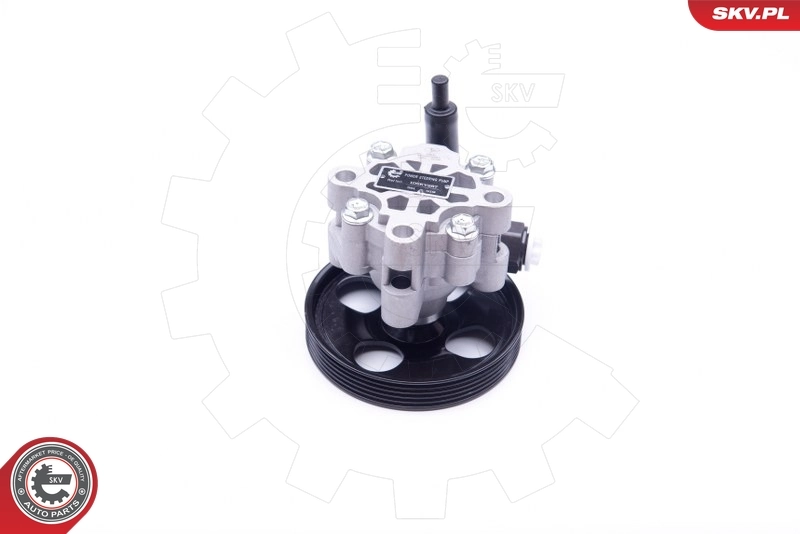 Bomba de dirección asistida  SKV 10SKV287 precio, desde 84,22 EUR