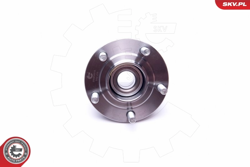 Comprar 29SKV219 SKV Cubo de rueda, Eje trasero