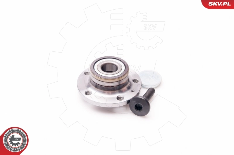 Comprar 29SKV006 SKV Cubo de rueda, Eje trasero