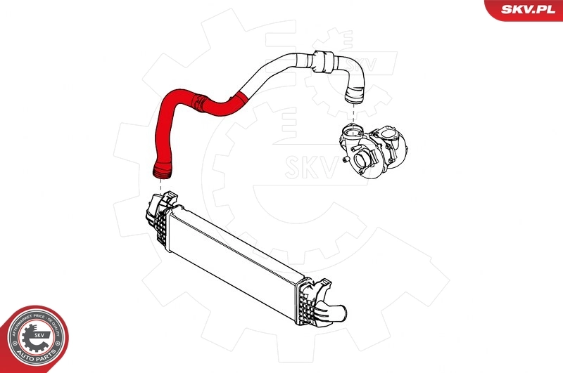 Manguera del intercooler SKV 24SKV880 precio, desde 31,63 EUR