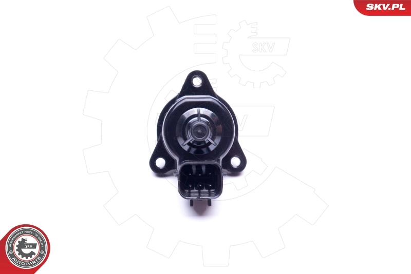 Comprar 08SKV239 SKV Válvula de ralentí (IAC)