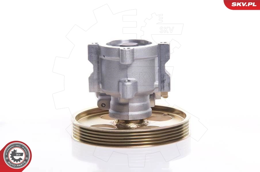 Bomba de dirección asistida  SKV 10SKV119 precio, desde 27,59 EUR