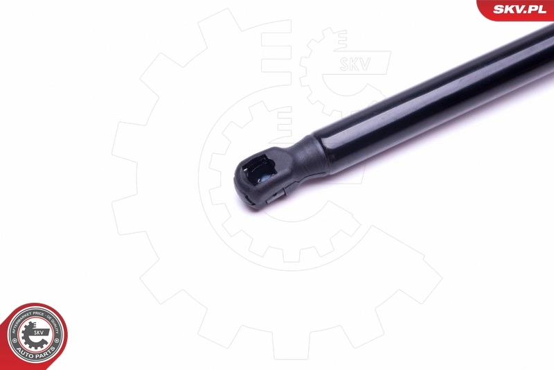 Amortiguador de maletero Seat Leon 1 1M1