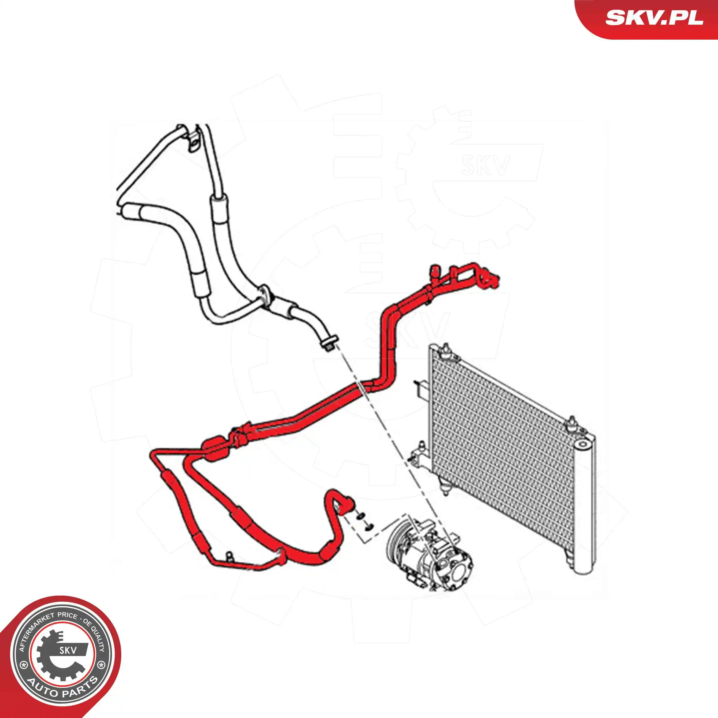 43SKV592 SKV