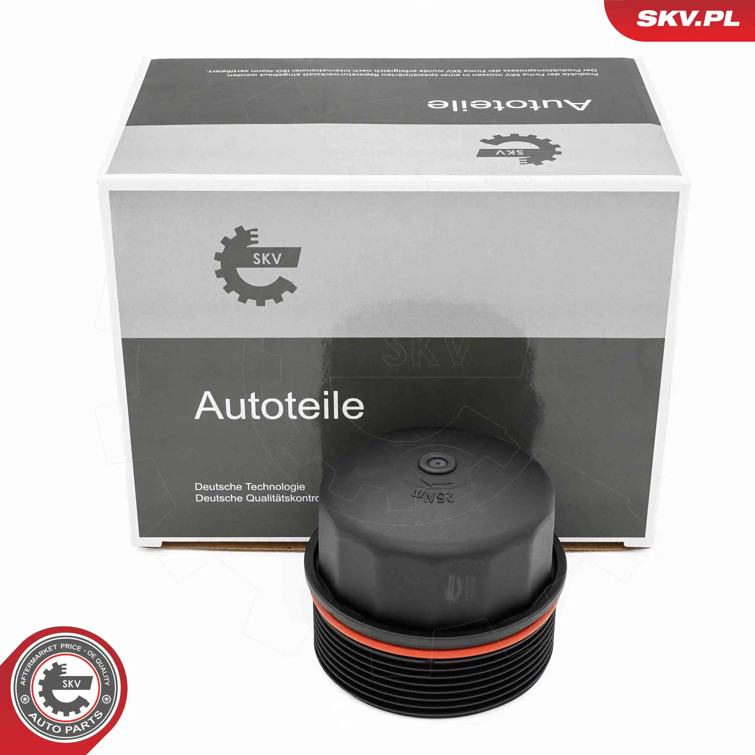 31SKV401 SKV