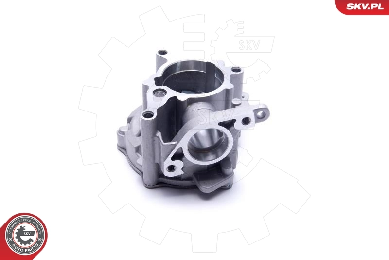 Bomba de vacío del sistema de frenado SKV 18SKV039 precio, desde 102,57 EUR